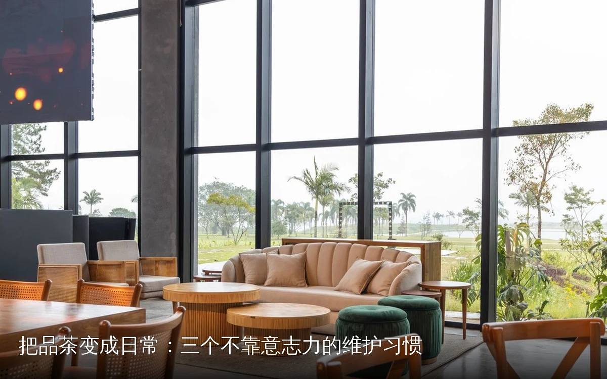 把品茶变成日常：三个不靠意志力的维护习惯